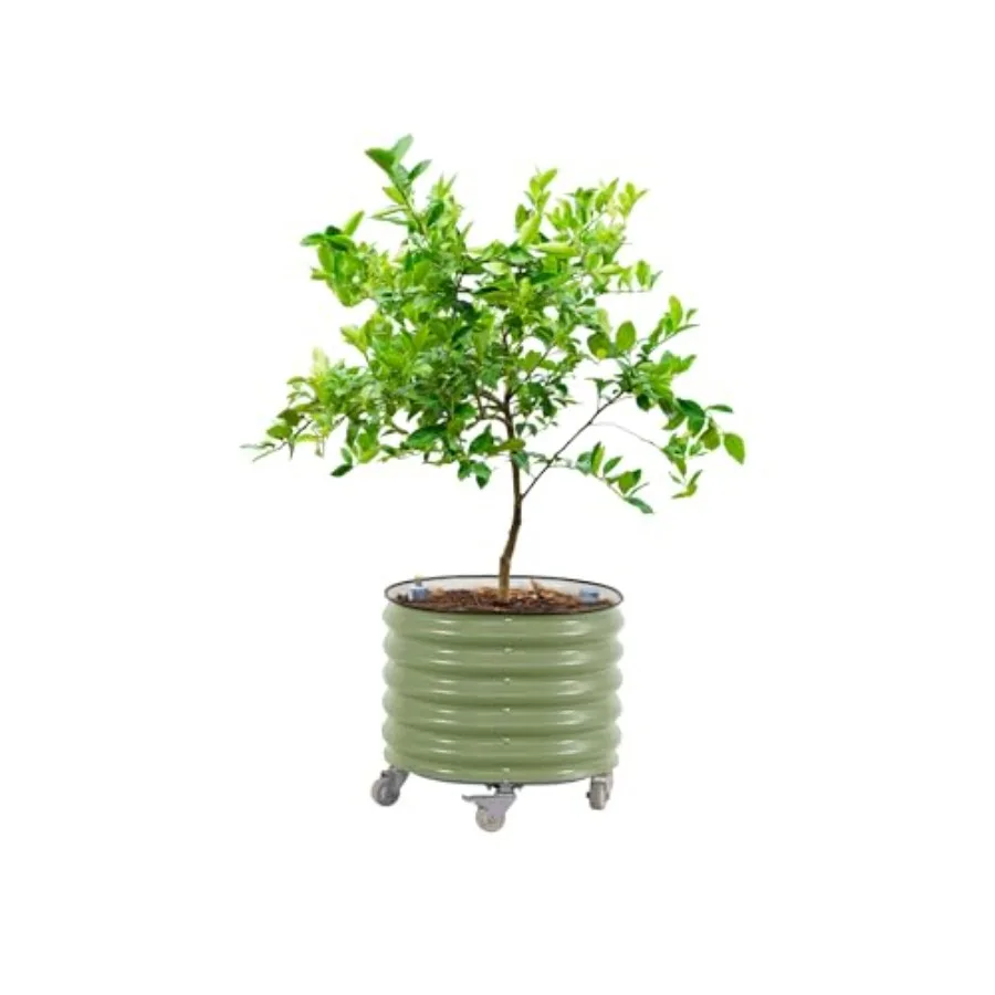 Self-Watering Planter - Gen 3 Model, Kendiliğinden Sulanan, 24